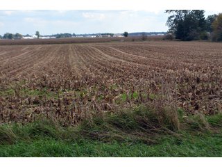 Property photo 23 - EHLE FARMS AUCTION - 118+/- ACRES IN 9 TRACTS IN ALLEN COUNTY, INDIANA